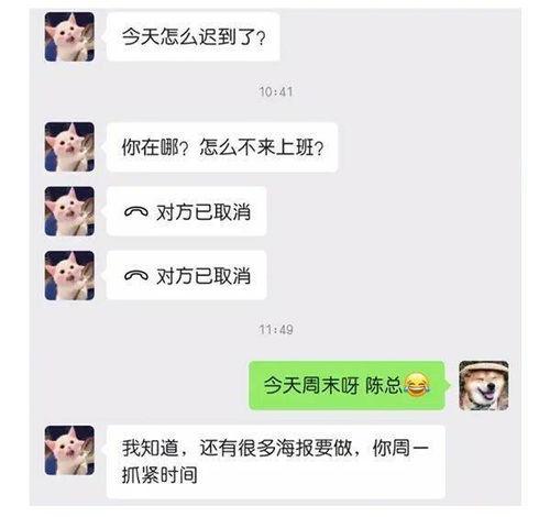 吃瓜日报丨郑,揭秘吃瓜日报背后的故事