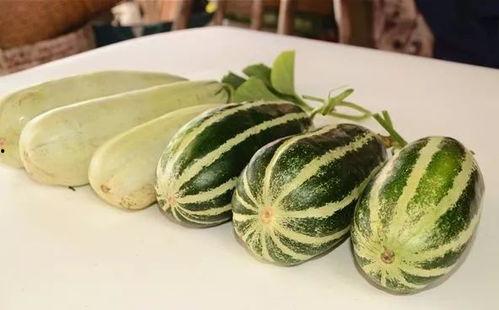 吃瓜不削皮好吗,健康美味两不误 第3张 吃瓜不削皮好吗,健康美味两不误 第3张
