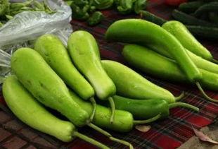 瓠瓜怎样炒着吃,家常美味轻松学