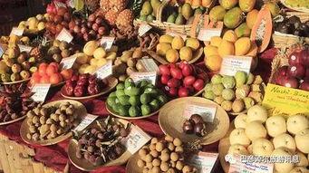 临沂吃瓜泰盛事件,揭秘网络谣言背后的真相 第3张 临沂吃瓜泰盛事件,揭秘网络谣言背后的真相 第3张