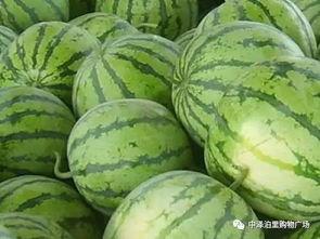 吃瓜特别潮流怎么形容,揭秘网络热点的幕后故事