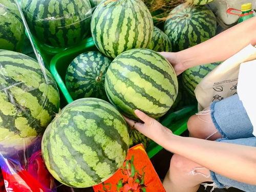 豆瓣成都mc吃瓜,揭秘网络红人的幕后故事  第3张