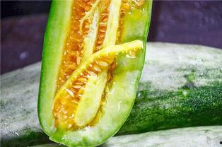 韩城网红 吃瓜,揭秘韩城网红“吃瓜”背后的故事 第3张 韩城网红 吃瓜,揭秘韩城网红“吃瓜”背后的故事 第3张