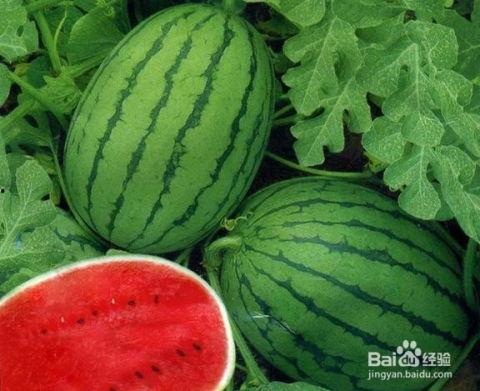 清月真人吃瓜系统,揭秘娱乐圈幕后风云 第3张 清月真人吃瓜系统,揭秘娱乐圈幕后风云 第3张