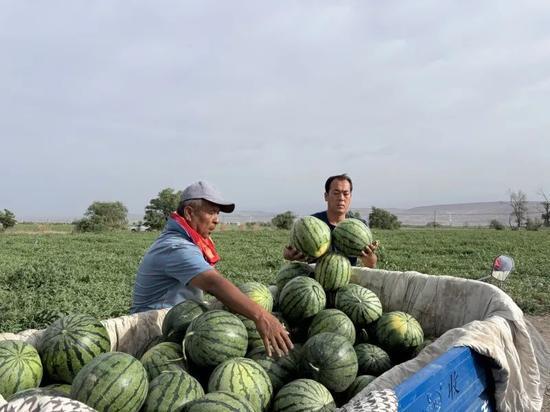 莘县在哪吃瓜,莘县特色瓜果美食之旅  第2张