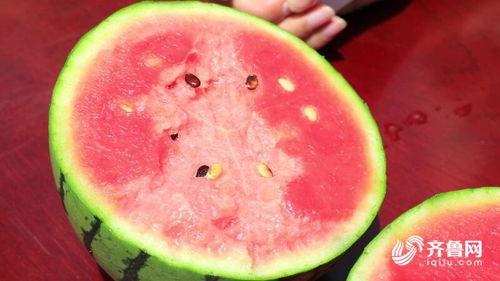 莘县在哪吃瓜,莘县特色瓜果美食之旅  第3张