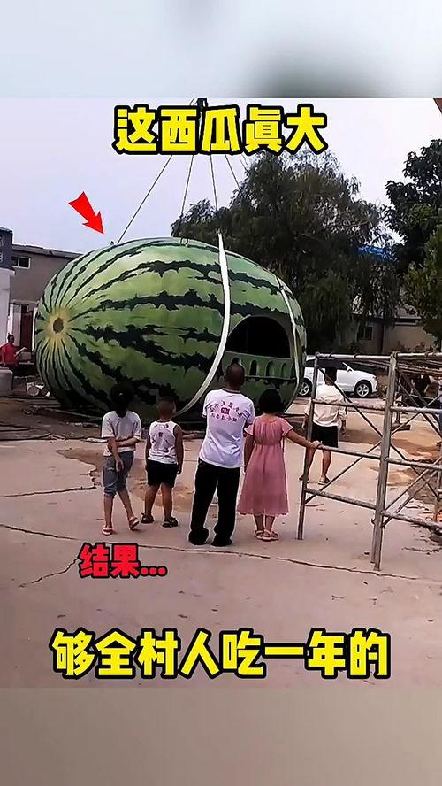 搞怪吃瓜视频大全,让你笑到肚子疼  第3张