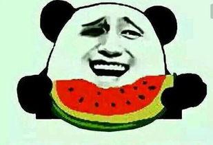 吃瓜界的,一场全民参与的娱乐盛宴  第2张