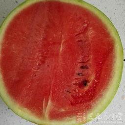 感冒可以吃瓜了吗?,瓜类食物的适宜摄入指南 第3张 感冒可以吃瓜了吗?,瓜类食物的适宜摄入指南 第3张