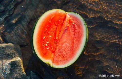 怀孕初期可以吃久红瓜吗,久红瓜的适宜食用指南  第2张