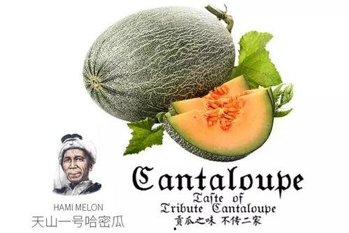 系统吃瓜推文,揭秘娱乐圈幕后风云 第2张 系统吃瓜推文,揭秘娱乐圈幕后风云 第2张