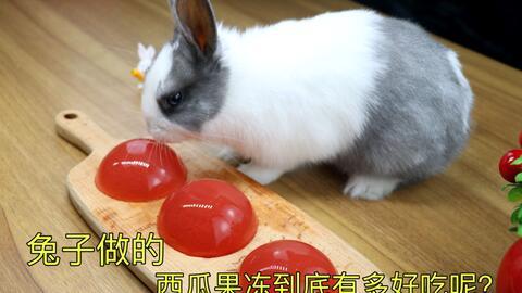 吃瓜兔兔,揭秘娱乐圈那些不为人知的幕后故事  第2张