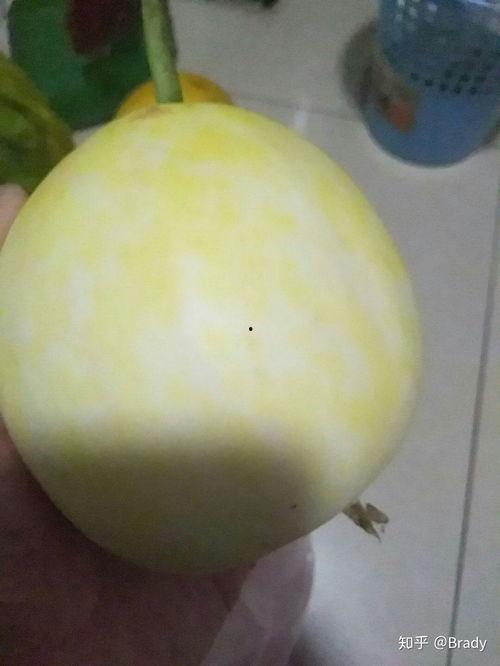 吃白皮瓜嗓子发炎,揭秘嗓子发炎的饮食隐患 第3张 吃白皮瓜嗓子发炎,揭秘嗓子发炎的饮食隐患 第3张