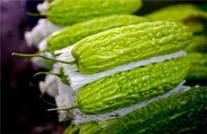 孕妇可以吃稍瓜,孕妇适宜食用的稍瓜及其益处  第2张