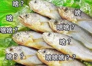 瓜哥吃瓜鸟鱼,一场别开生面的美食盛宴  第3张