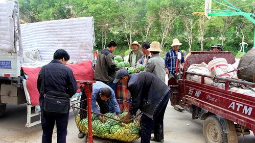 永年河北部吃瓜群众,吃瓜群众的夏日生活剪影