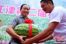 重庆音乐老师吃瓜,一场校园风波的启示