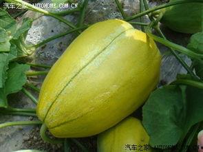 德吉吃瓜,揭秘娱乐圈背后的那些事儿  第3张