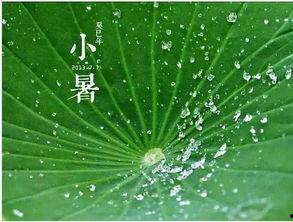 吃瓜古诗会,一瓜一世界，一诗一境界  第2张