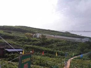 菏泽曹县吃瓜群众事件,网络舆论场上的风波与反思 第3张 菏泽曹县吃瓜群众事件,网络舆论场上的风波与反思 第3张