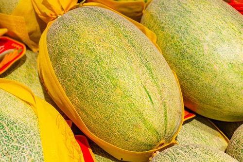 伽师瓜吃 第2张 伽师瓜吃 第2张