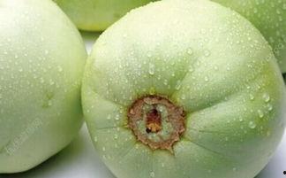 糖尿病胖子吃瓜,美味与健康的完美结合 第2张 糖尿病胖子吃瓜,美味与健康的完美结合 第2张