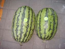 吃瓜曹县,吃瓜群众的狂欢盛宴 第3张 吃瓜曹县,吃瓜群众的狂欢盛宴 第3张