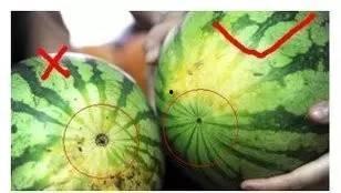 绷瓜怎么吃,解锁健康美味新体验  第2张