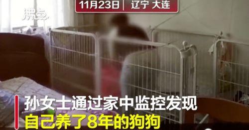 吃瓜不塌房,吃瓜群众如何辨别塌房真相  第3张