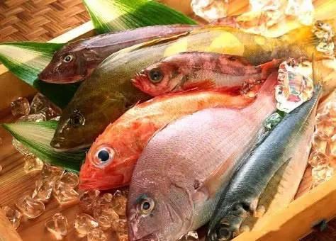 梦见捞鱼摘瓜吃,捞鱼摘瓜，尽享丰收喜悦  第3张