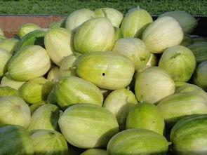 壶关县吃瓜,探寻当地特色美食之旅 第3张 壶关县吃瓜,探寻当地特色美食之旅 第3张