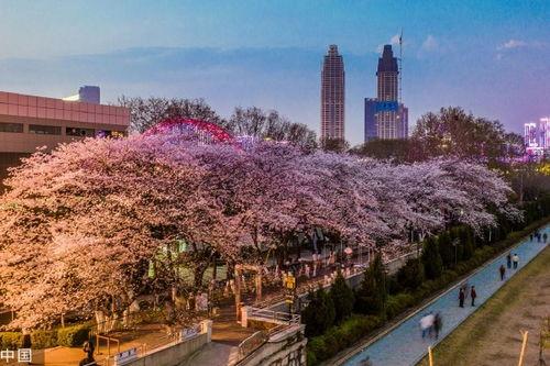 庄河吃瓜抖音,抖音带你领略当地特色美食文化  第3张