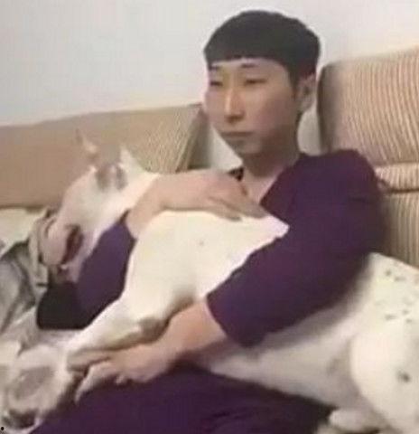 吃瓜网友纷纷疑问,那些令人困惑的疑问大揭秘! 第3张 吃瓜网友纷纷疑问,那些令人困惑的疑问大揭秘! 第3张