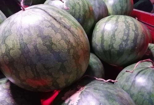 拍砸瓜怎么吃 第2张 拍砸瓜怎么吃 第2张