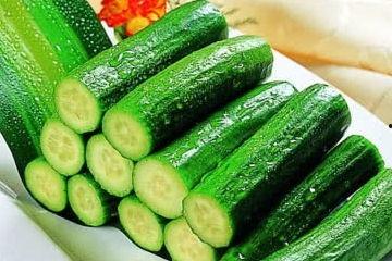 阿诺吃瓜减脂,揭秘健身达人的健康瘦身秘诀 第3张 阿诺吃瓜减脂,揭秘健身达人的健康瘦身秘诀 第3张