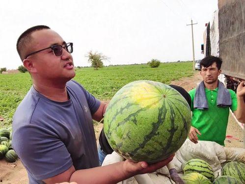 吃瓜王大爷,揭秘娱乐圈幕后故事 第3张 吃瓜王大爷,揭秘娱乐圈幕后故事 第3张