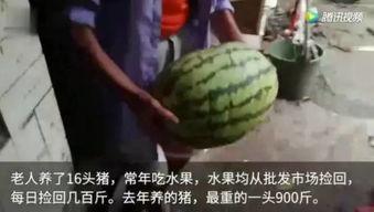 吃瓜视频吃到自己,意外发现自己成为主角 第2张 吃瓜视频吃到自己,意外发现自己成为主角 第2张