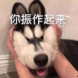 听音乐吃瓜 第2张 听音乐吃瓜 第2张