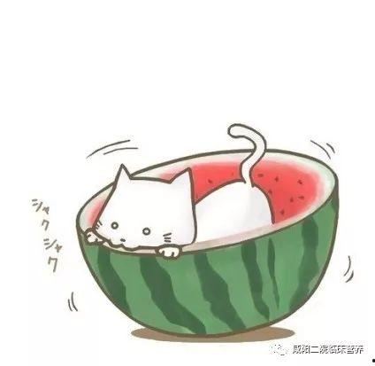 可爱头像吃瓜卡通,跟随可爱头像吃瓜卡通,畅游欢乐卡通世界 第3张 可爱头像吃瓜卡通,跟随可爱头像吃瓜卡通,畅游欢乐卡通世界 第3张