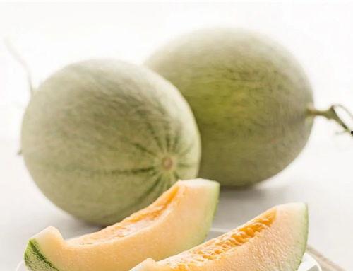 上海下小雪吃瓜,上海小雪时节的悠闲生活画卷 第3张 上海下小雪吃瓜,上海小雪时节的悠闲生活画卷 第3张