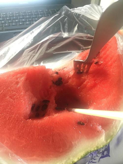 带吸管吃的瓜,吸管瓜果,轻松一夏 第3张 带吸管吃的瓜,吸管瓜果,轻松一夏 第3张