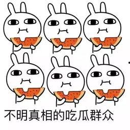 吃瓜要努力,揭秘娱乐圈背后的奋斗故事 第2张 吃瓜要努力,揭秘娱乐圈背后的奋斗故事 第2张