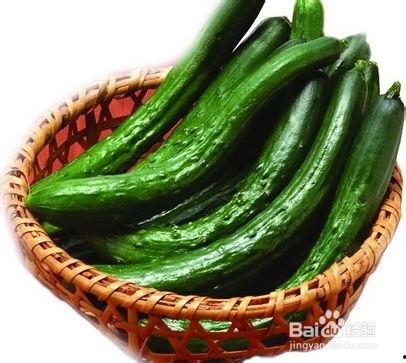 冬眠桥鹊吃瓜,冬眠桥鹊的瓜田奇遇 第3张 冬眠桥鹊吃瓜,冬眠桥鹊的瓜田奇遇 第3张