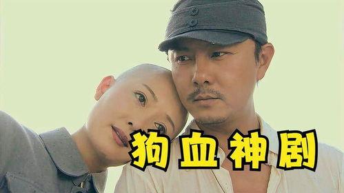 侮辱智商神剧带你吃瓜,揭秘侮辱智商神剧背后的吃瓜真相  第2张