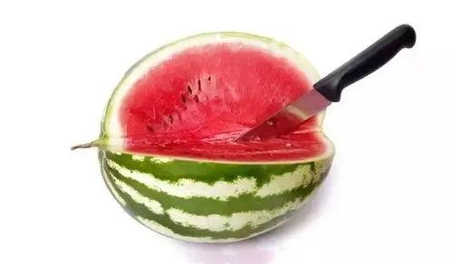 吃瓜群众属于什么类别,网络时代下的社会观察者群体分类 第3张 吃瓜群众属于什么类别,网络时代下的社会观察者群体分类 第3张