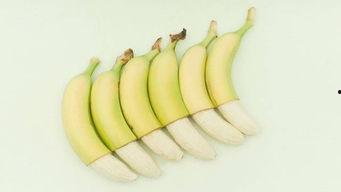 蕉田吃瓜,探寻夏日田园的甜蜜诱惑 第2张 蕉田吃瓜,探寻夏日田园的甜蜜诱惑 第2张