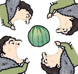 着急吃瓜,揭秘那些让人迫不及待的吃瓜瞬间  第3张