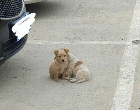新龙门吃瓜,揭秘宫廷秘闻,笑谈权谋风云 第3张 新龙门吃瓜,揭秘宫廷秘闻,笑谈权谋风云 第3张