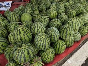 沐歌吃瓜,揭秘娱乐圈幕后故事 第3张 沐歌吃瓜,揭秘娱乐圈幕后故事 第3张