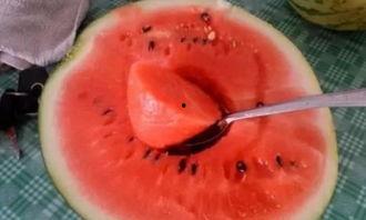 中国吃瓜vs印度吃瓜,中国吃瓜与印度吃瓜的趣味碰撞 第3张 中国吃瓜vs印度吃瓜,中国吃瓜与印度吃瓜的趣味碰撞 第3张